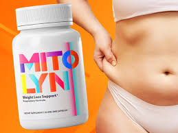 "natural fat burner supplement"